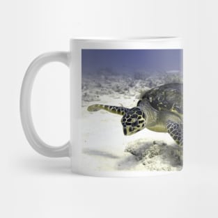 Caribbean Sea Turtle Mug